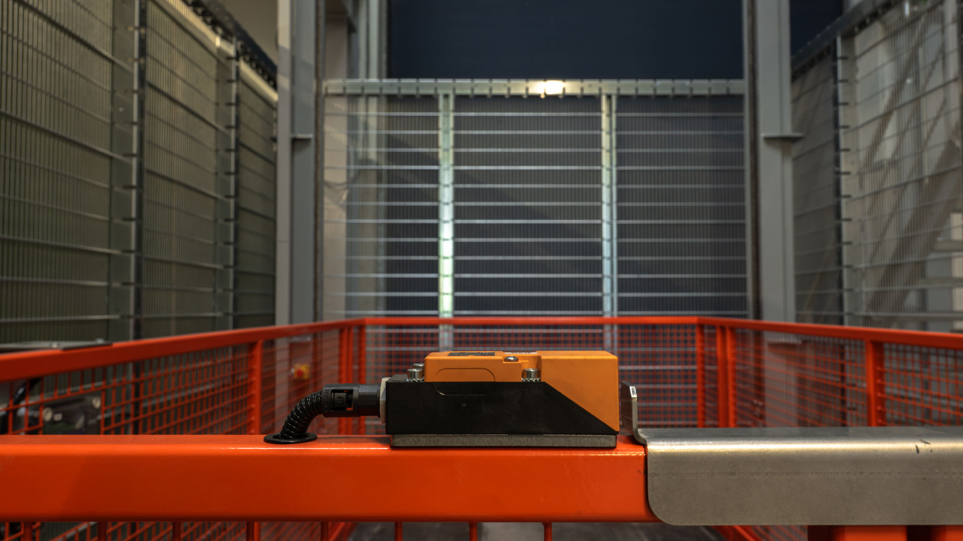Bruvo_LR-13